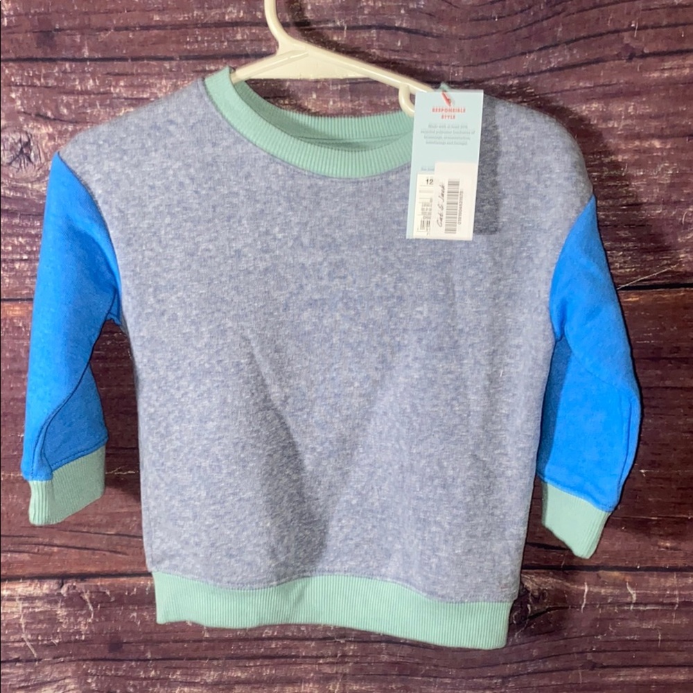 Colorblock Crewneck Sweatshirt - Picture 2 of 3